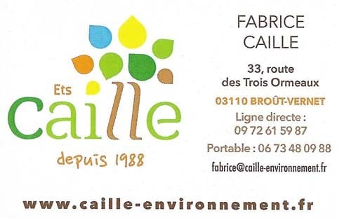 Caille